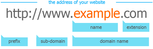 Difference Between Website and Domain